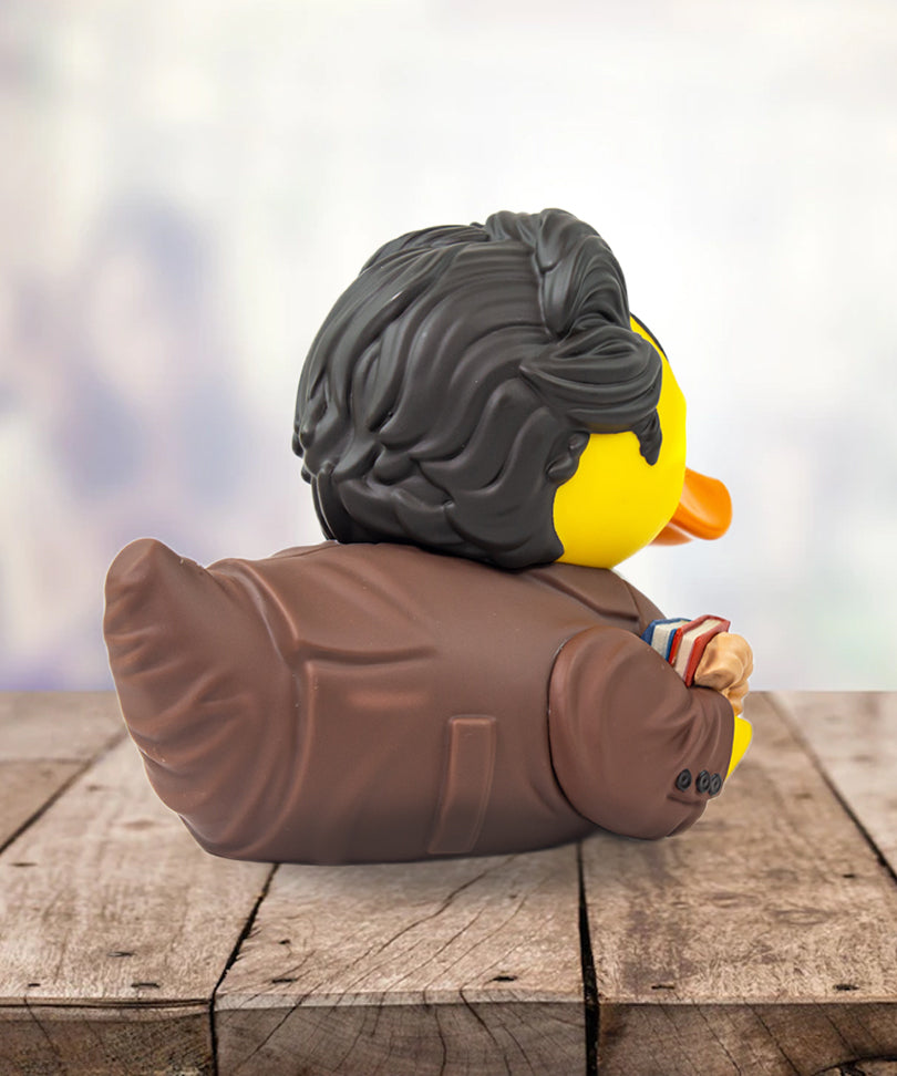 Friends Ross Geller TUBBZ Cosplaying Duck Collectible