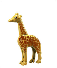 Giraffa
