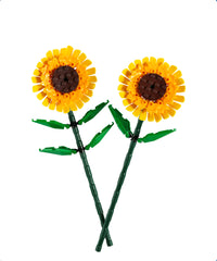 Girasoli