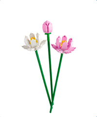 Fiori di loto
