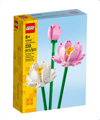 Fiori di loto