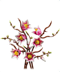 Rami di Magnolia