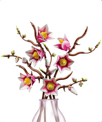 Rami di Magnolia