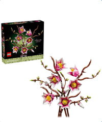 Rami di Magnolia