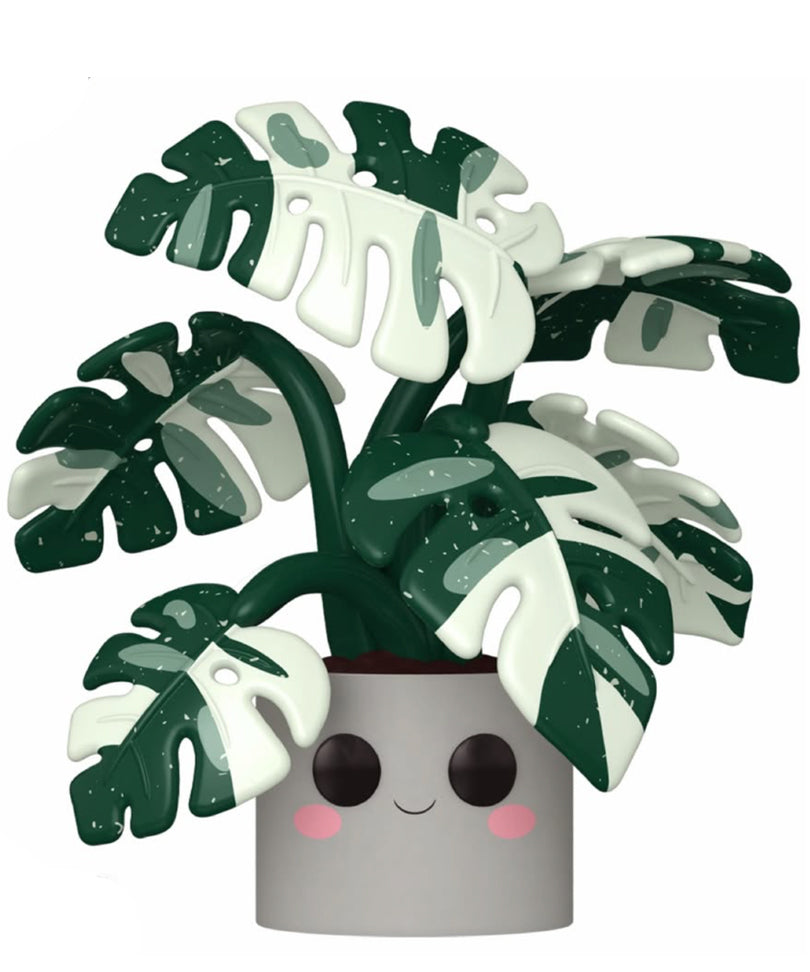 Monstera (10-Inch)