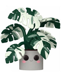 Monstera (10-Inch)