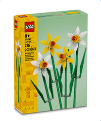 Narcisi