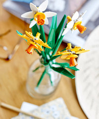 Narcisi
