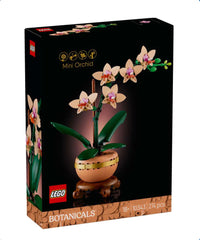 Mini-orchidea