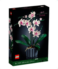 Orchidea