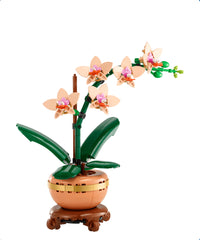 Mini-orchidea