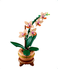 Mini-orchidea