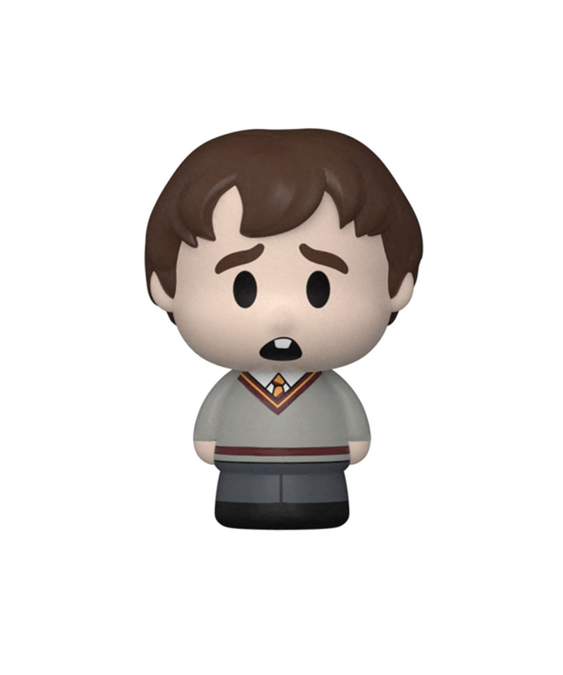 Potions Class - Neville Longbottom (Chase)