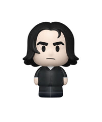 Potions Class - Professor Snape