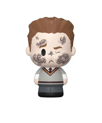 Potions Class - Seamus Finnigan (Chase)