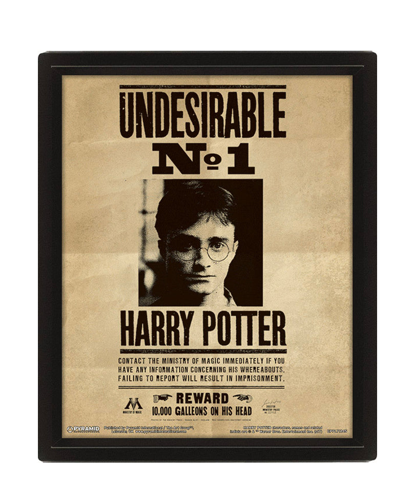 Poster Lenticolare 3D Harry Potter – Harry & Sirius (28 x 23 cm)