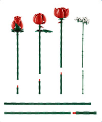 Bouquet di rose