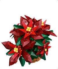 Stella di Natale