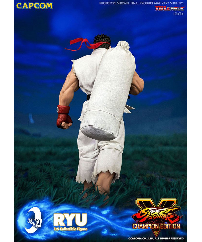 Street Fighter Action Figure 1/6 Ryu 30 cm