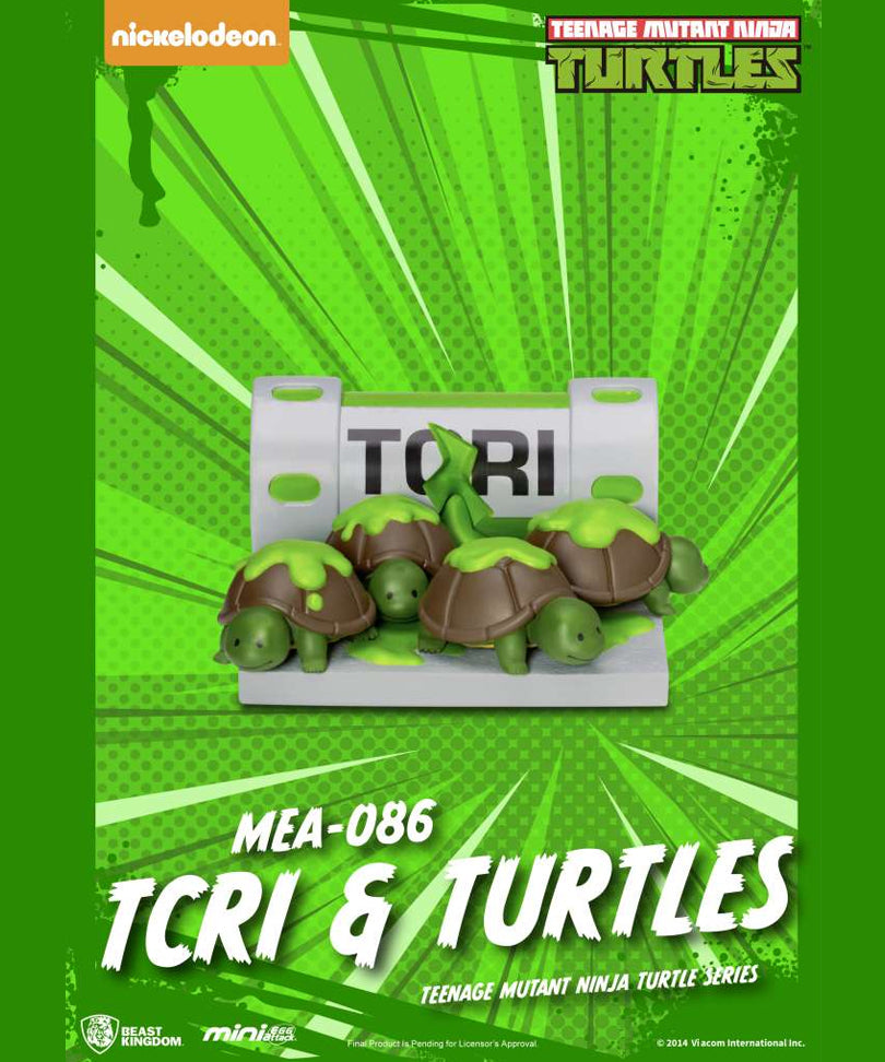 Teenage Mutant Ninja Turtle Series - Blind Box Set