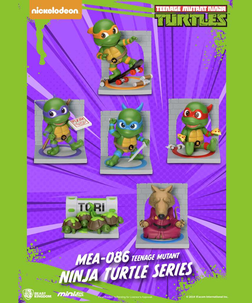 Teenage Mutant Ninja Turtle Series - Blind Box Set