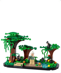 Tributo a Jane Goodall