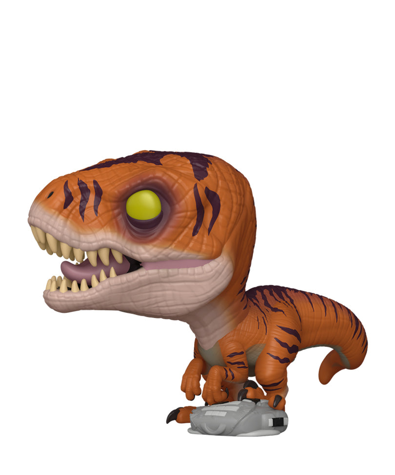 Tiger Raptor