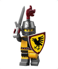 Cavaliere del torneo